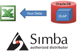 Simba Authorized Distributor Logo and graphic